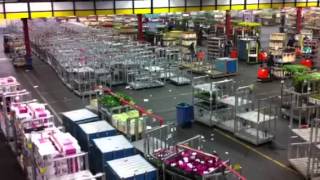 The Largest Flower Market in the World Aalsmeer Holland [upl. by Ahtelrac292]