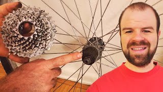 How to Remove the Cassette or Freewheel from Bike Wheels [upl. by Ressan]