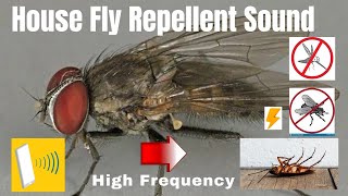 Anti Flies Repellent Sound  Ultrasonic Sound  High Frequency  House Fly Killer highfrequency [upl. by Doowron952]