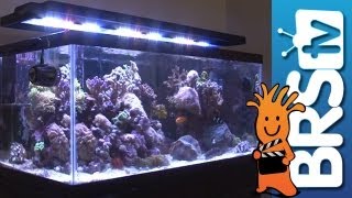 LED Lighting For Aquariums  EP 3 Aquarium Lighting [upl. by Rehptosirhc]