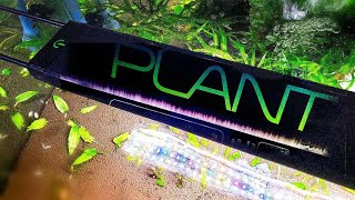 Ultimate Guide to the Fluval Plant 30 LED Aquarium Light  Part 1 [upl. by Esdras42]