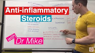 Antiinflammatory Steroids [upl. by Senhauser]