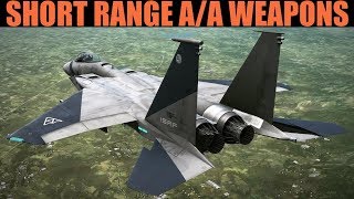 F15C Eagle ACM Close Range Missiles amp Gun Tutorial  DCS WORLD [upl. by Eonak]