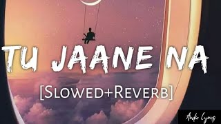 Tu Jaane Na SlowedReverb Atif Aslam  Audio Lyrics [upl. by Eugor]