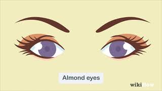 How to Determine Eye Shape [upl. by Ayiak124]