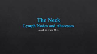 Neck US  Lymph Nodes and Abscesses [upl. by Sheilah]