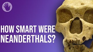 How Smart Were Neanderthals [upl. by Shawna819]