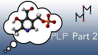 Transamination Mechanism PART 2 Chemistry of the PLP Coenzyme [upl. by Bilicki]