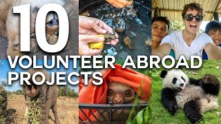 10 LIFE CHANGING VOLUNTEER ABROAD EXPERIENCES [upl. by Lonni]