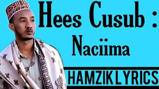 XARIIR AXMED HEES CUSUB NACIIMA OFFICIAL VIDEO HD LYRICS 2020 [upl. by Tavey478]