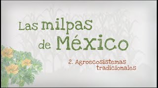 2 Las milpas de México Agroecosistemas tradicionales [upl. by Nodlehs130]