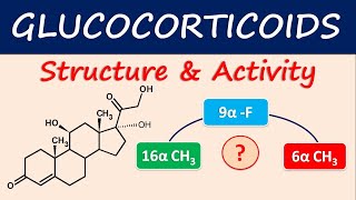 Glucocorticoids  Structure and activity [upl. by Noitsirhc]