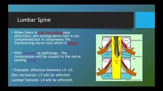 Exiting Nerve Vs Traversing Nerve  Explanation amp Understand Difference [upl. by Bathesda]