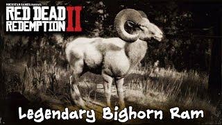 How To Kill The Legendary Bighorn Ram  Red Dead Redemption 2 [upl. by Meehyr]