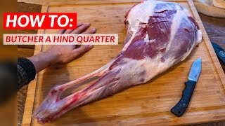 How To Butcher a DEER Hind Quarter [upl. by Aristotle]