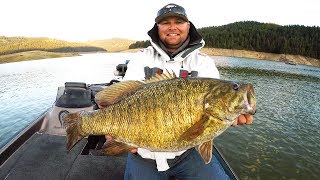 New Personal Best GIANT Smallmouth Bass [upl. by Eidak108]