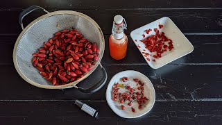 All About Rosehips  harvesting amp preparing for syrup amp tea [upl. by Follansbee]