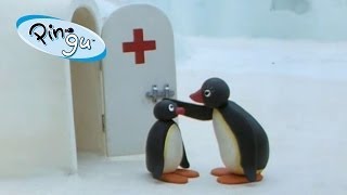 Pingu Pingu at the Doctor [upl. by Bathulda]