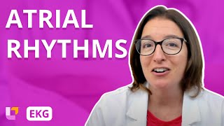 Atrial Rhythms  EKG Interpretation  LevelUpRN [upl. by Thorrlow782]