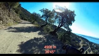 Virtual Run 11K 8 kph Saint Tropez FRANCE [upl. by Lenehc]