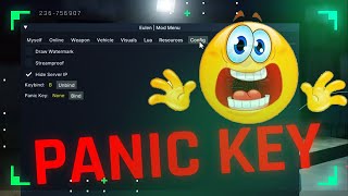 Eulen Update Added Panic Key to hide the cheat quickly  FiveM cheat Lua Executor ESP Aimbot [upl. by Eelegna]