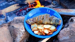 Catching amp Cooking Wild Trout Fish n’ Chips Over a Fire [upl. by Tnerb]