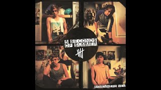 5 Seconds of Summer  Unpredictable Karaoke [upl. by Eelsew]