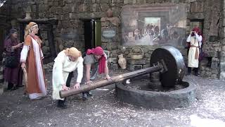 MAKING OLIVE OIL IN ISRAEL [upl. by Yrovi626]