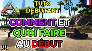 FR ARK Survival Evolved  TUTO DEBUTANT 1 Comment et Quoi Faire au Début [upl. by Vasos]