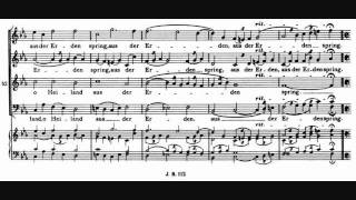 Brahms  O Heiland reiß die Himmel auf motet Op 74 No 2 [upl. by Den429]