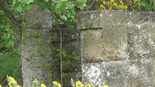 Great North of Scotland railway line viaduct remains at calcots morayshire [upl. by Eiggam]