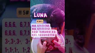 Luna Alessandro Safina Kalimba notes tabs [upl. by Elrem]