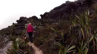 Walking Across the Top of Mount Roraima Venezuela [upl. by Atinad]