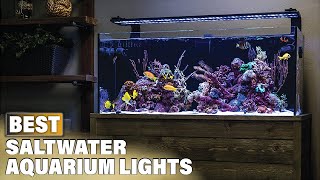 Top 10 Best Saltwater Aquarium Light 2024 [upl. by Poliard]