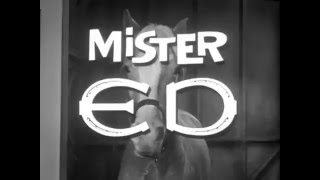 Mister Ed 1961  1966 Opening and Closing Theme With Snippet [upl. by Eatnuahc]