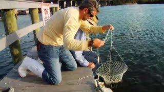 How to Catch Blue Crabs [upl. by Naresh86]