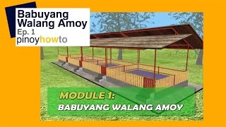 How to Raise Pigs Babuyang Walang Amoy or Odorless Pigpen Episode 1  Pinoy How To [upl. by Sivolc]