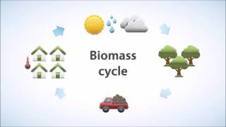 What is Biomass [upl. by Seko]