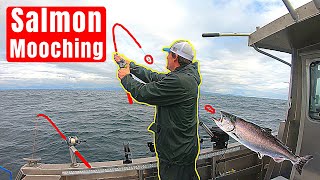 How to Mooch for Salmon Salmon Mooching [upl. by Eadahs]