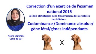 SVTBacBiof Correction national lois statistiques Codominancegène létalgènes indépendants [upl. by Pelmas577]