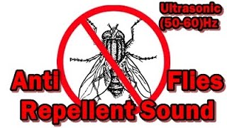 Anti Flies Repellent Sound  Ultrasonic5060Hz chasefliesaway noflies stopflies antiflies [upl. by Noiramed]