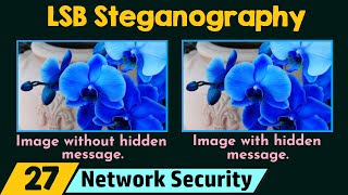 LSB Steganography  Demo [upl. by Bernardo]