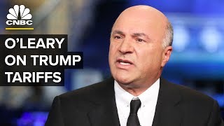 Kevin OLeary On Trade Impact Towards Canada From President Donald Trumps Tariffs [upl. by Acinom]