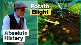 The Edwardian Farm Faces A Potato Blight  Edwardian Farm EP11  Absolute History [upl. by Rizzo]