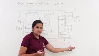 Block Diagram amp Architecture Of 8085 Microprocessor [upl. by Annadroj673]