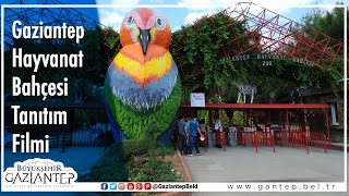 Gaziantep Hayvanat Bahçesi Tanıtım Filmi [upl. by Noe303]