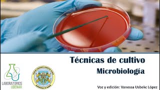 Técnicas de siembra Microbiología [upl. by Pals]