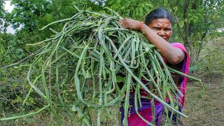 Adamant Creeper Chutney Recipe  Pirandai Thuvaiyal recipe  Pirandai Chutney  Side dish Recipes [upl. by Nygem]